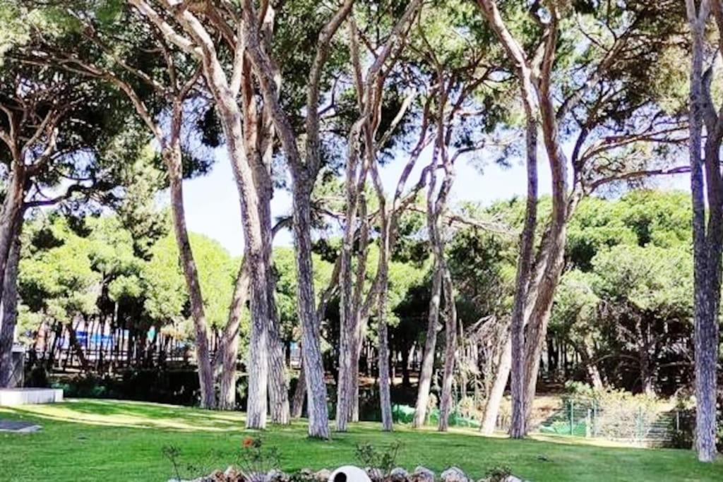 Algaida Beachfront - Seaview Studio Costa Del Sol Daire Sitio de Calahonda Dış mekan fotoğraf